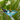 Hanging Cascading Bird Bath Feeder