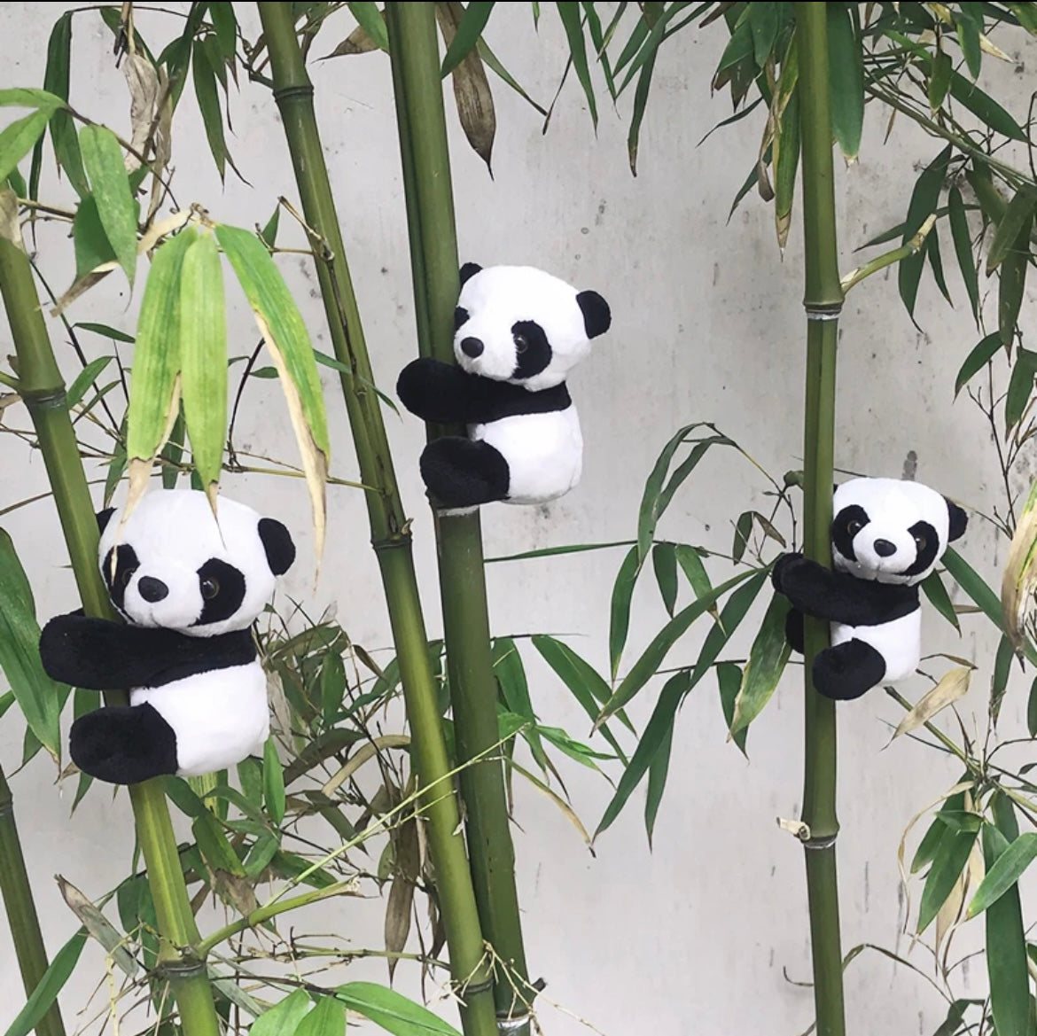 panda magnet feature 3
