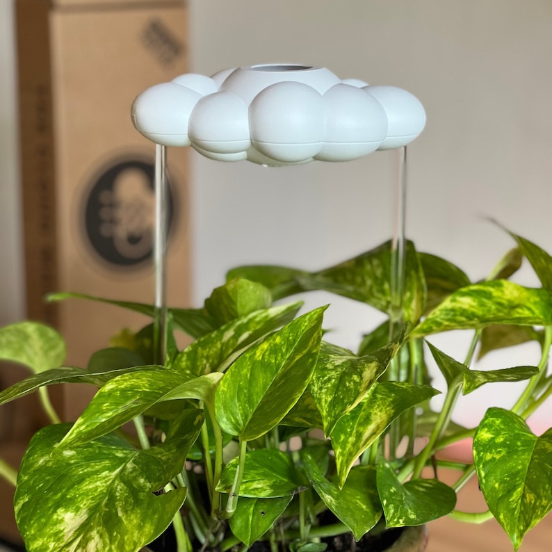 Dripping Rain Cloud for Plants