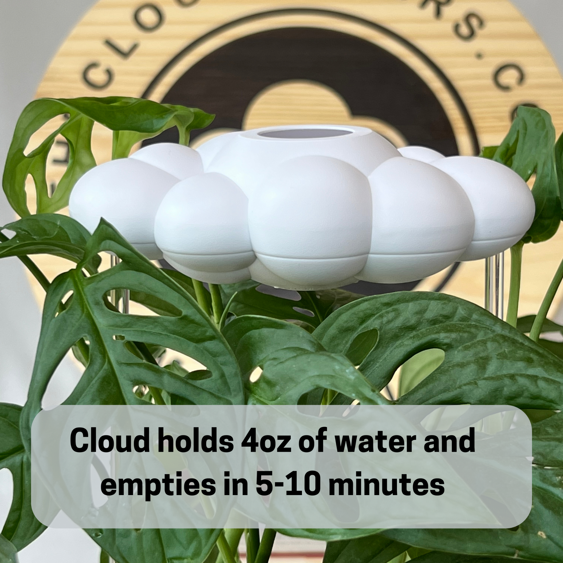 Dripping Rain Cloud for Plants